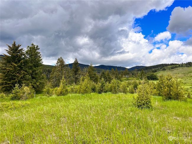 0 TBD Goosmus Creek Rd, Home with 0 bedrooms, 0 bathrooms and null parking in Curlew WA | Image 9