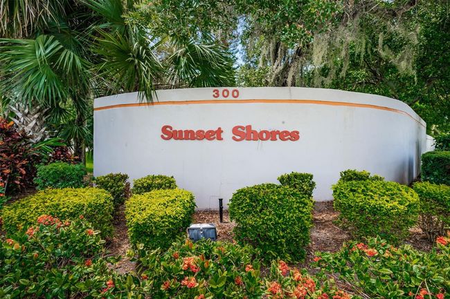 APT-200J - 300 S Florida Ave, Condo with 2 bedrooms, 2 bathrooms and null parking in TARPON SPRINGS FL | Image 43