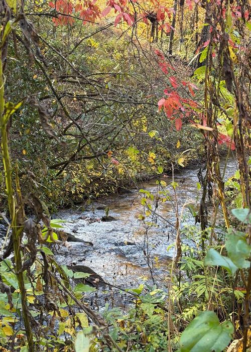 Lot 62 & And Creek Rd, Murphy, NC, 28906 | Card Image