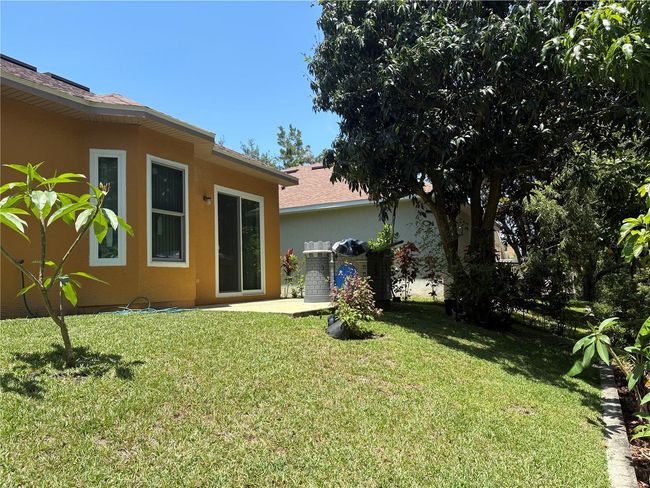 BACK YARD | Image 4