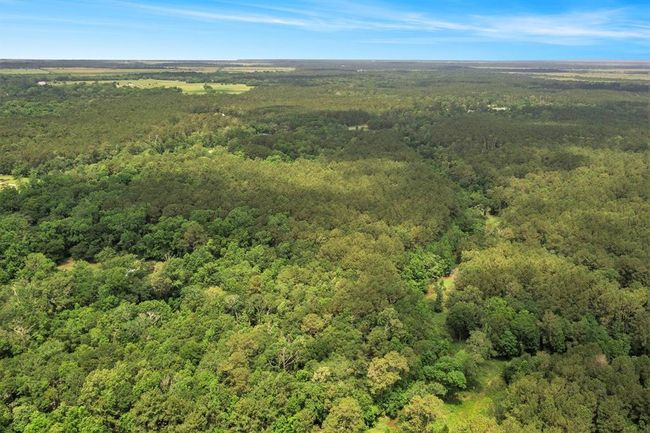 View of area | Image 7