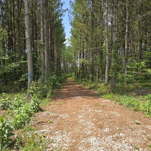 T23L5 Sheep Ranch Rd, Robbins, TN, 37852 | Card Image