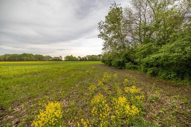 Lot 12 Nora Dodge Dr, Home with 0 bedrooms, 0 bathrooms and null parking in Peculiar MO | Image 20