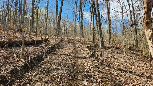 TRACT-1-PIKE-LAKE-GETAWA - 0 Pike Lake Rd, Home with 0 bedrooms, 0 bathrooms and null parking in Bainbridge OH | Image 25