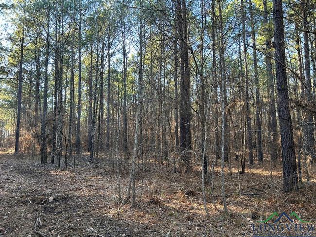 TBD 26.5 ac Boggy Rd., Home with 0 bedrooms, 0 bathrooms and null parking in Waskom TX | Image 8