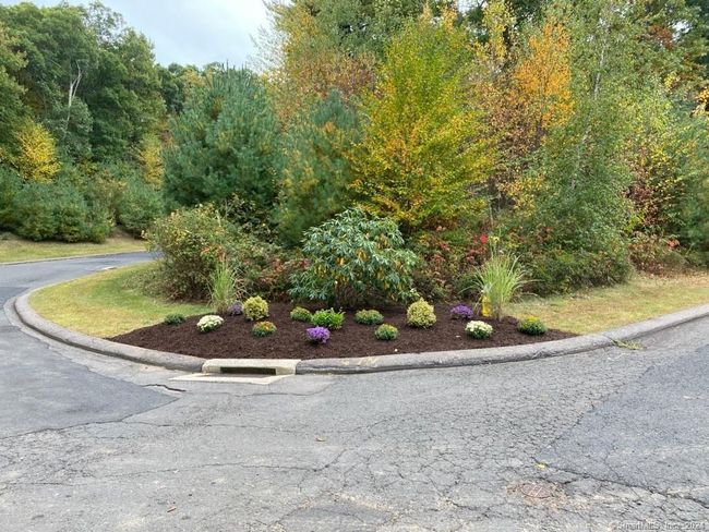 65 Belvedere Dr, Condo with 2 bedrooms, 3 bathrooms and null parking in Tolland CT | Image 22
