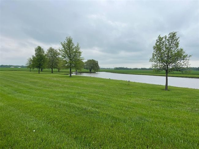 View of grassy yard with a water view | Image 17