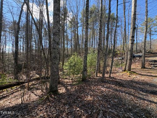 Lot 30 Gene Drive, Butler, TN, 37640 | Card Image
