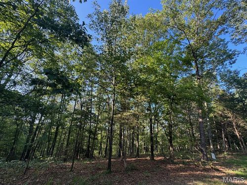 160 Steeple Point Dr. Lot #9 Drive, Defiance, MO, 63341 | Card Image
