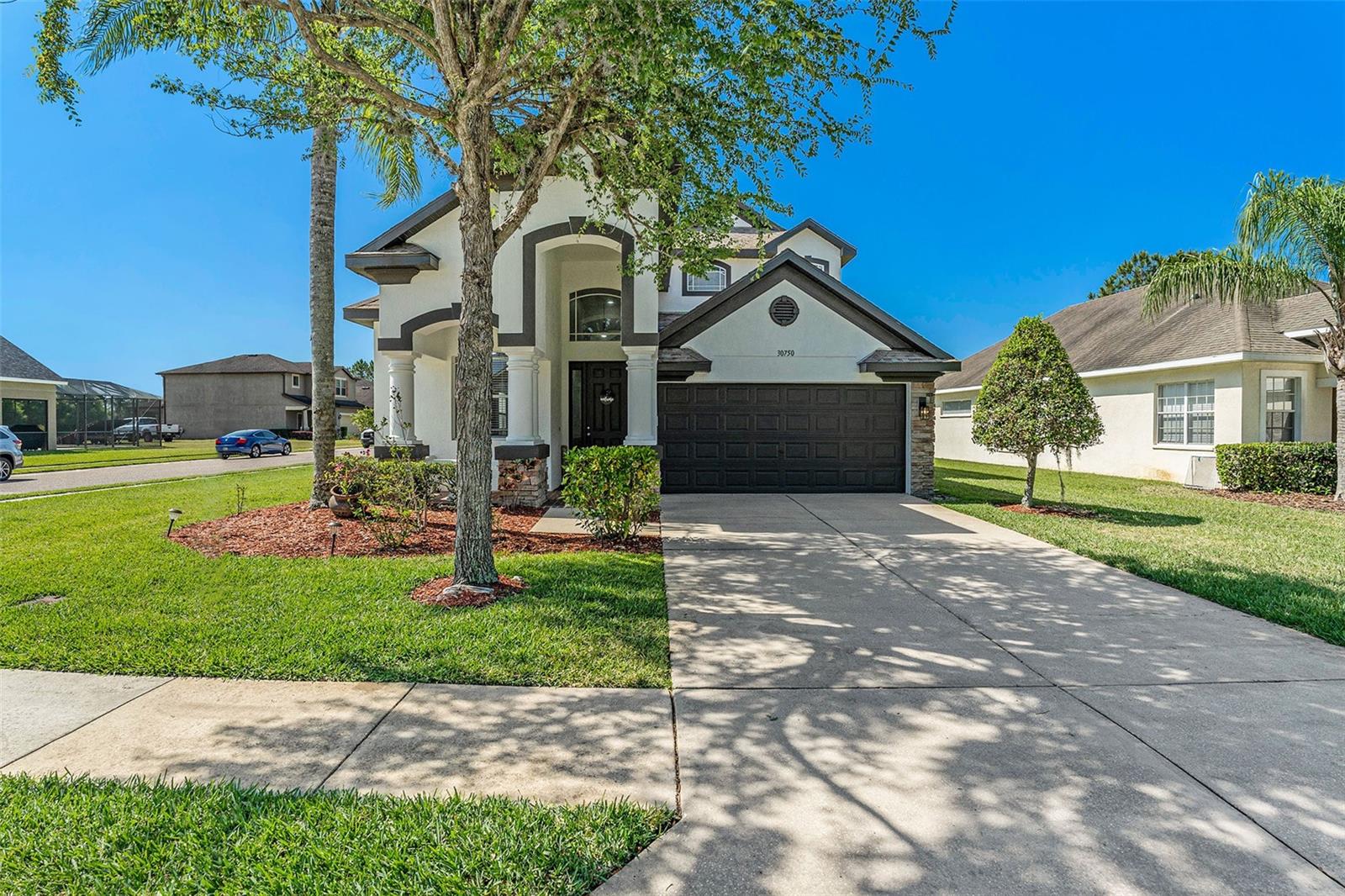 Pumpkin Ridge Dr, Wesley Chapel, FL 33543