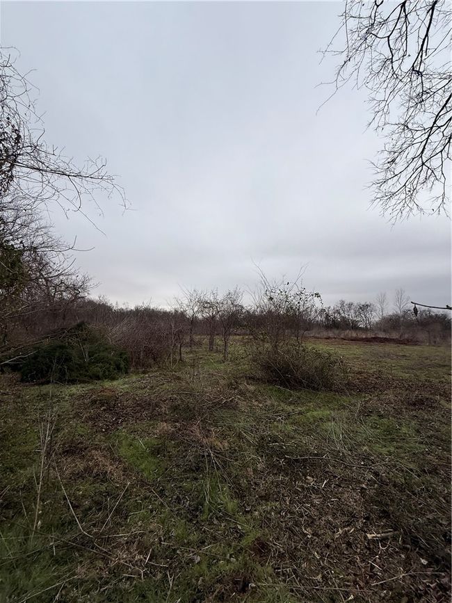 View of local wilderness with a rural view | Image 10