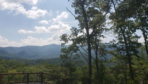 LT17 Mill Ridge Rd, HIAWASSEE, GA, 30546 | Card Image
