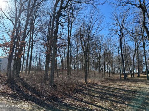 14 Buck Knobs Rd, Ekron, KY, 40117-8568 | Card Image