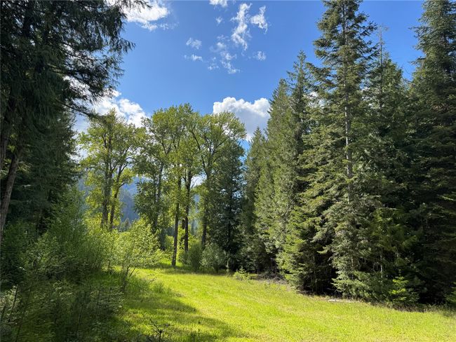 2 Cedar Grove Ln, House other with 4 bedrooms, 1 bathrooms and null parking in Noxon MT | Image 52