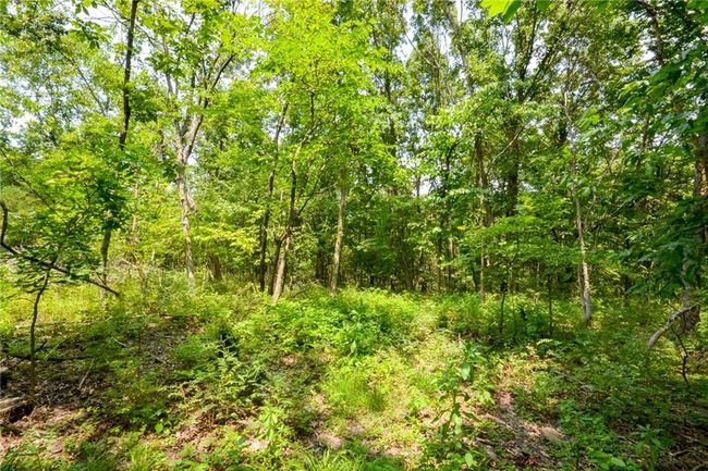 000 Us Highway 65, Home with 0 bedrooms, 0 bathrooms and null parking in Cross Timbers MO | Image 6