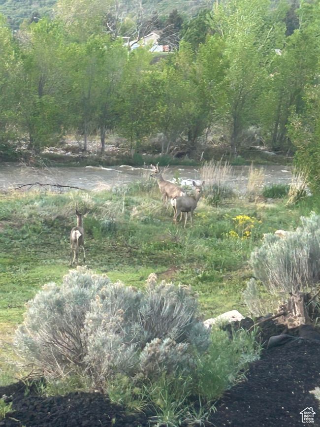 View of nature | Image 62