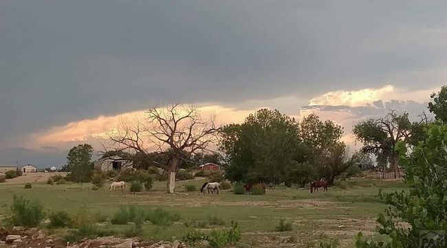 49300 E State Highway 96, House other with 3 bedrooms, 3 bathrooms and 1 parking in Avondale CO | Image 11