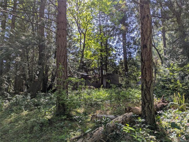 35 Captain Morgans Blvd, Home with 0 bedrooms, 0 bathrooms and 2 parking in Protection Island BC | Image 6
