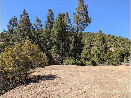 1593 Jaidi Rd, Fort Garland, CO, 81133 | Card Image