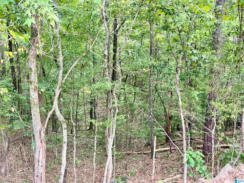 1649 Broken Arrow Creek Rd, RIVERSIDE, AL, 35135-2031 | Card Image