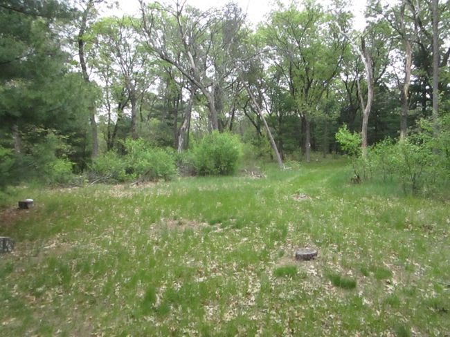 2018 9 Th Ave, Home with 2 bedrooms, 1 bathrooms and null parking in Adams WI | Image 36