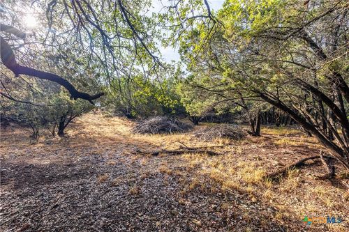 21402 Broken Bow Cv, Lago Vista, TX, 78645-4927 | Card Image