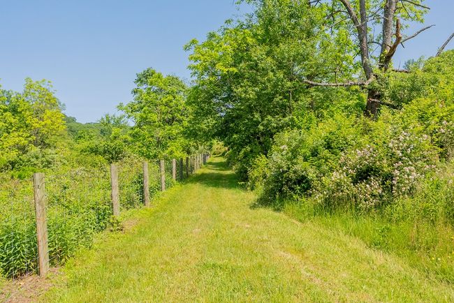 688 Gibson Knob Rd, Home with 0 bedrooms, 0 bathrooms and null parking in Laurel Fork VA | Image 86