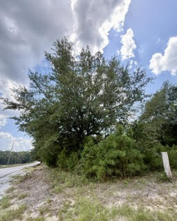 Land in Opelika 2