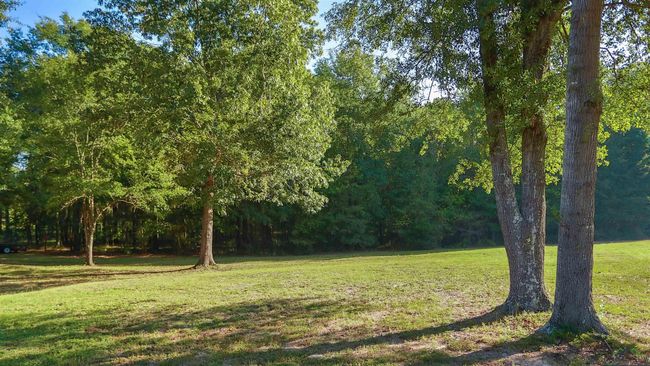 LOT-19-MAJESTIC-OAKS - TBD Majestic Oaks, Home with 0 bedrooms, 0 bathrooms and null parking in De Berry TX | Image 4