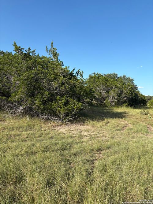 41 White Tail Run, Uvalde, TX, 78801-4780 | Card Image