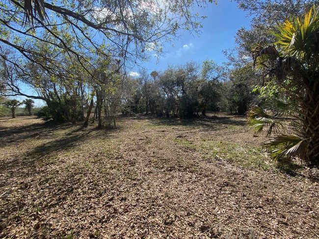 15936 306 Th St, Home with 0 bedrooms, 0 bathrooms and null parking in Okeechobee FL | Image 13