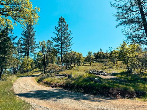 7300 Miller Ranch Rd, Mountain Ranch, CA, 95246 | Card Image