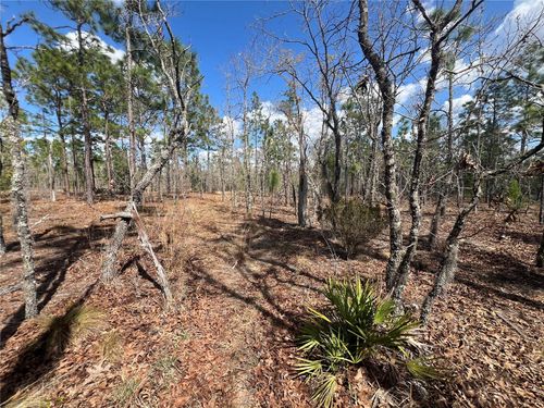 143 Quail Way, Hawthorne, FL, 32640-4260 | Card Image