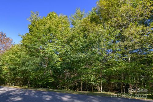 Lot 37 White Fox Ln, Banner Elk, NC, 28604 | Card Image