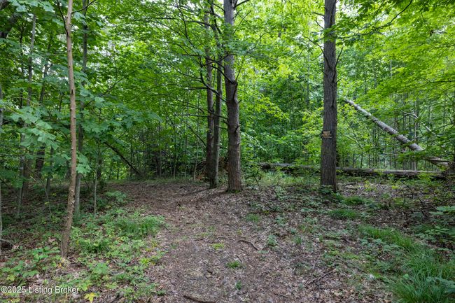 7 Vanmeter Cemetery Rd, Home with 0 bedrooms, 0 bathrooms and null parking in Bee Spring KY | Image 25
