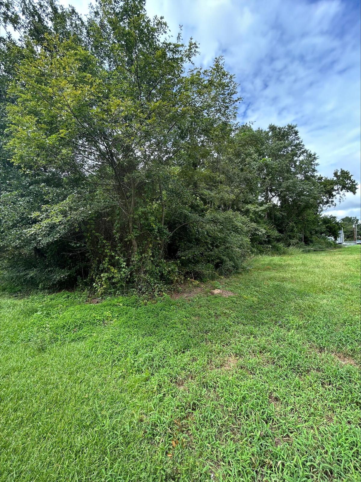 Land in Summerton 4