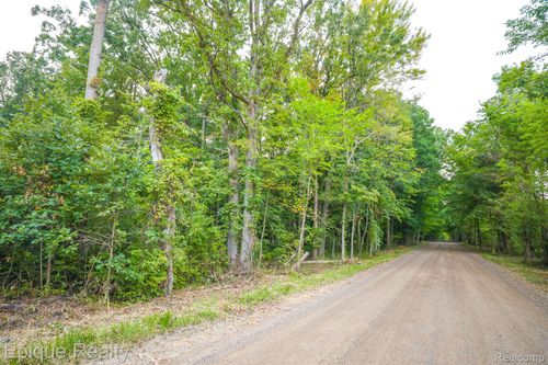 0TBD Hagerman Rd, Leonard, MI, 48367 | Card Image
