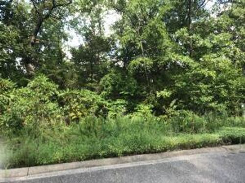 75 Skylee Drive, Hollister, MO, 65672 | Card Image