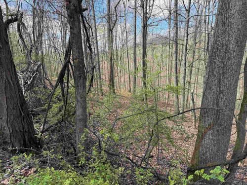 TBD Behlar Rd, Fairview, WV, 26570 | Card Image