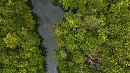 Lot 4 Cabin Land Dr, Radford, VA, 24141 | Card Image