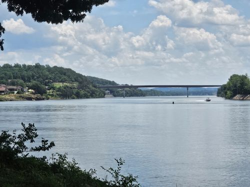 5 Island View Dr, Bath Springs, TN, 38311 | Card Image