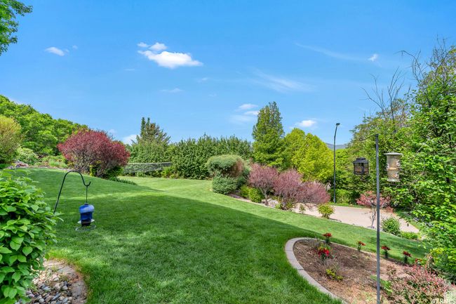 View of yard | Image 79