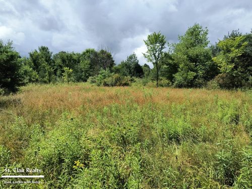 0 Parks Rd, Goodells, MI, 48027 | Card Image