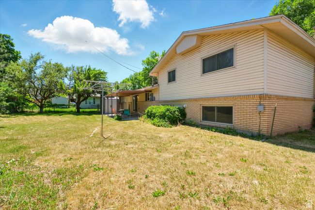 View of grassy yard | Image 24