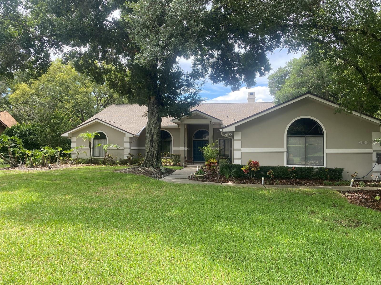 Street Andrews Blvd, Tarpon Springs, FL 34688