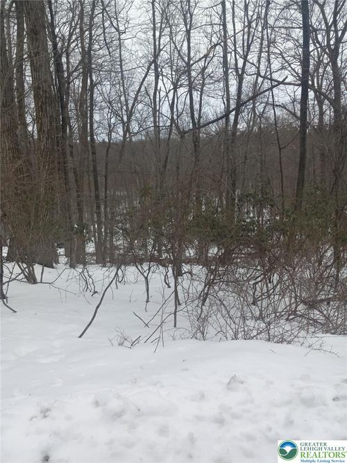 81 Bear Cub Path, Scotrun, PA, 18355 | Card Image
