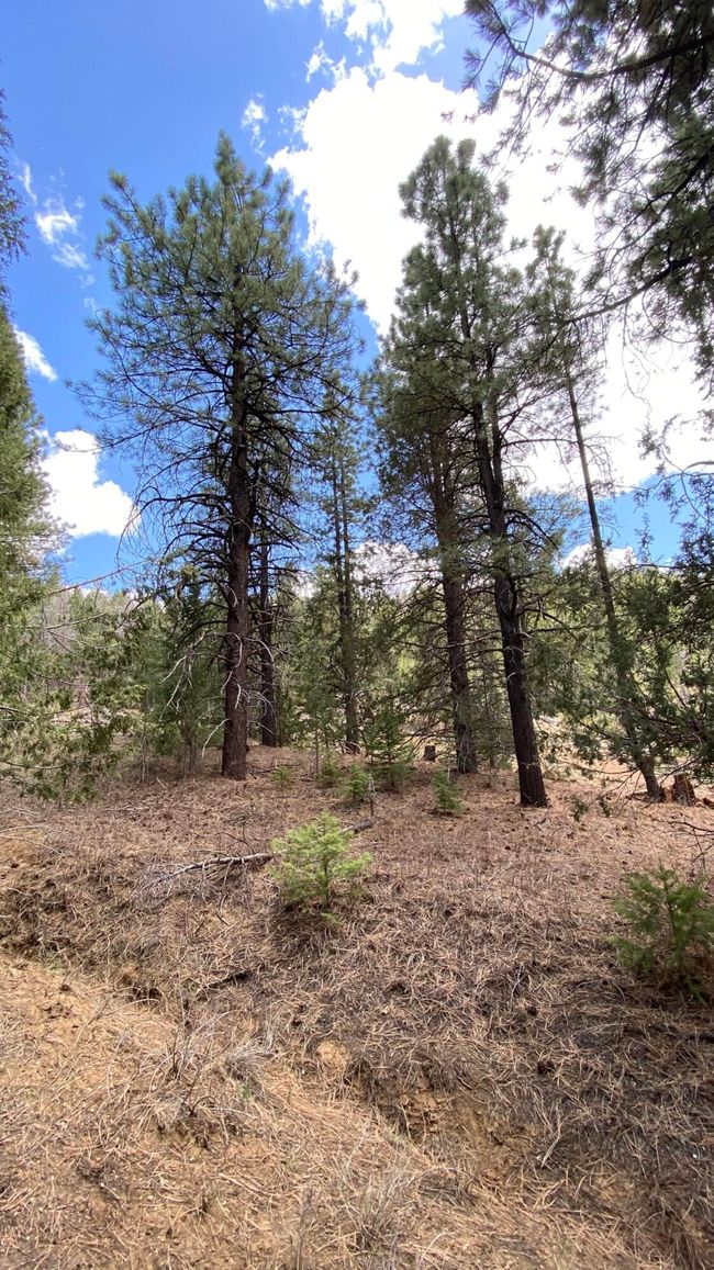 13 Elk Meadows Drive, For Sale in Duck Creek Zoocasa