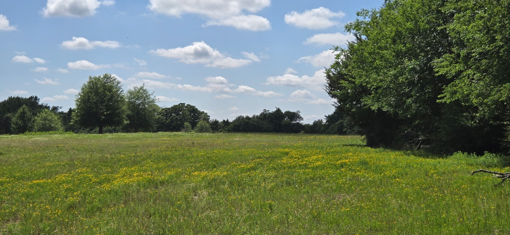 Land in Malakoff 3