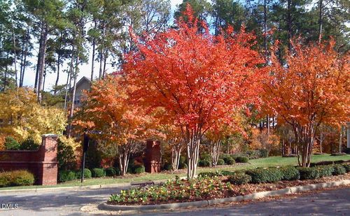 1114 Arborgate Cir, Chapel Hill, NC, 27514-6505 | Card Image