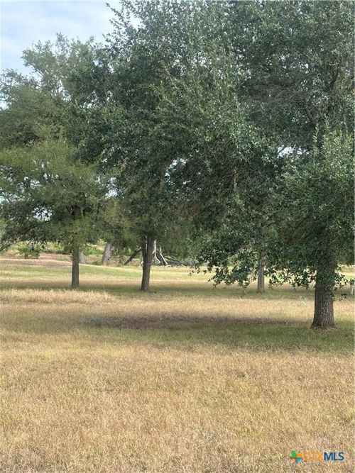 TBD 0 Fm 725, Seguin, TX, 78155 | Card Image